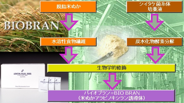 レンチンプラス105包の製造工程