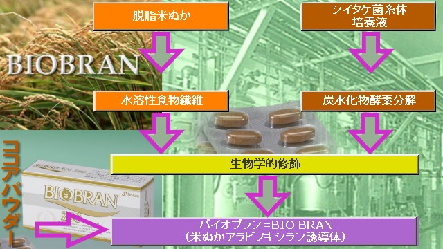 バイオブラン250の製造工程